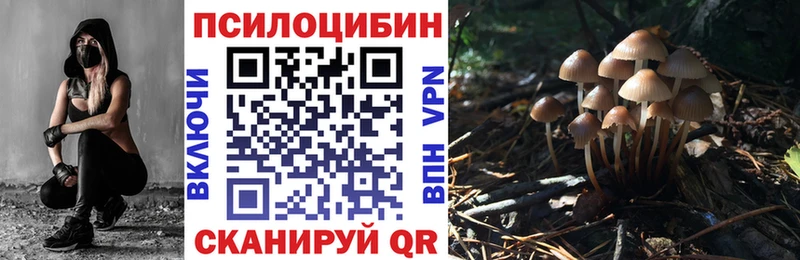 Галлюциногенные грибы мицелий  Щучье 